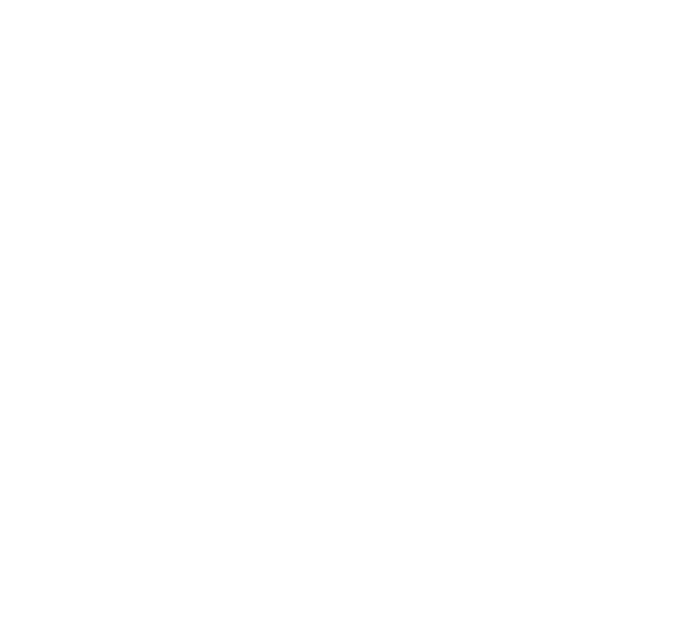nspyr1-2.png